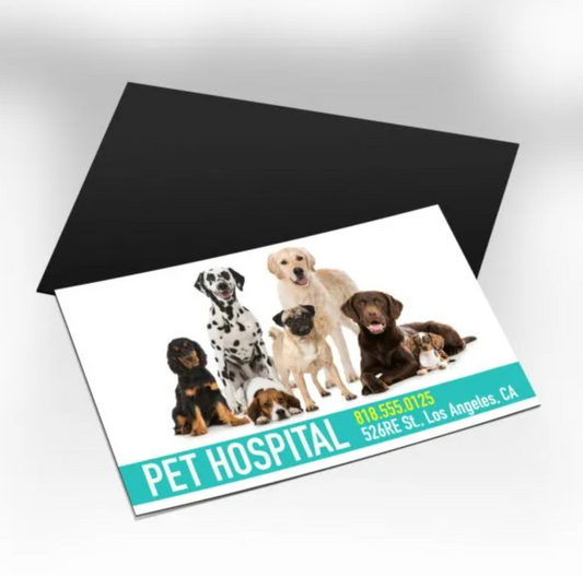 Magnetic Business Cards